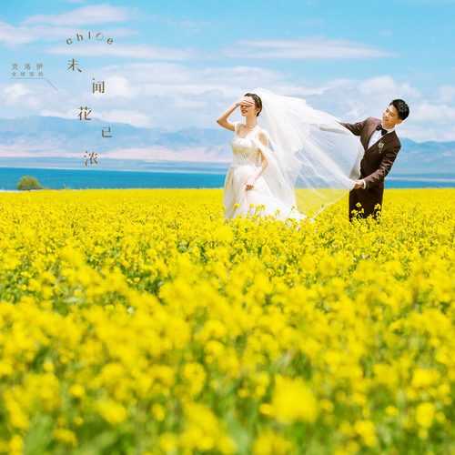 全球影展第二十二期