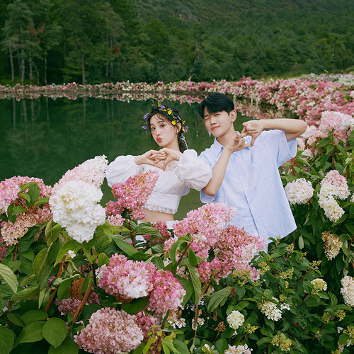 花期至,踏雨归