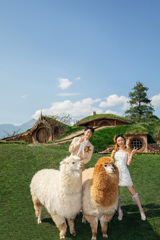 劉先生&王女士
