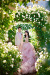 林先生&张女士
