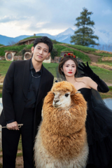 施先生&冯女士