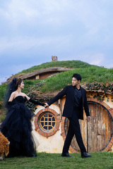 施先生&冯女士