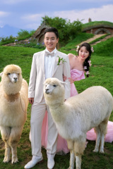 楊先生&嚴女士