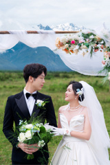 林先生&杨女士