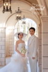 马先生&马女士