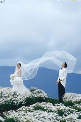 裊裊花見(jiàn)笑